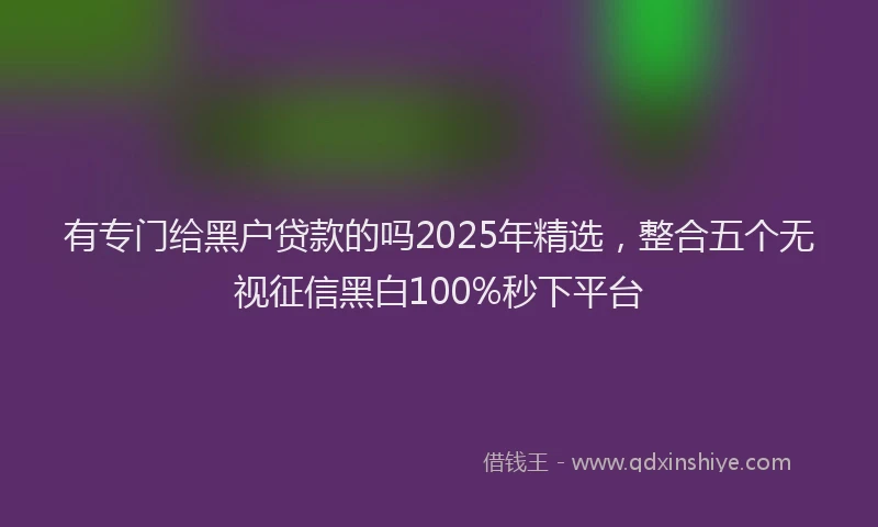 有专门给黑户贷款的吗2025年精选，整合五个无视征信黑白100%秒下平台