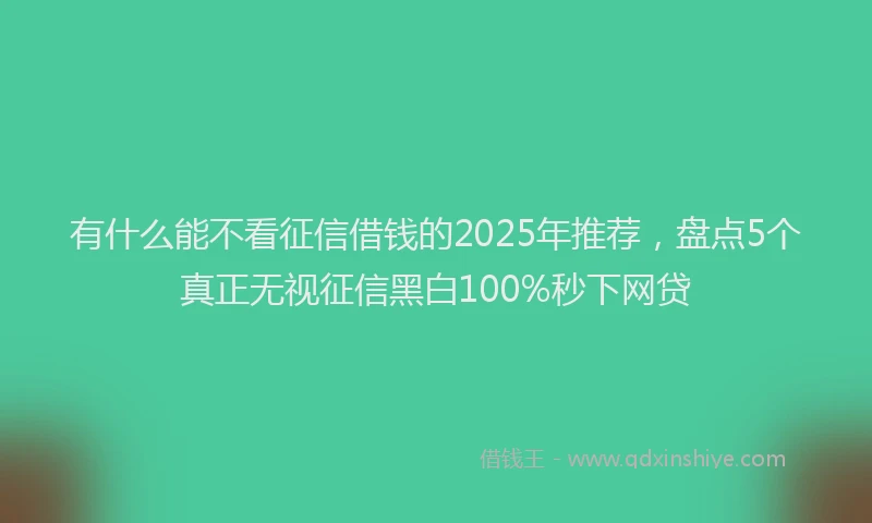 有什么能不看征信借钱的2025年推荐，盘点5个真正无视征信黑白100%秒下网贷