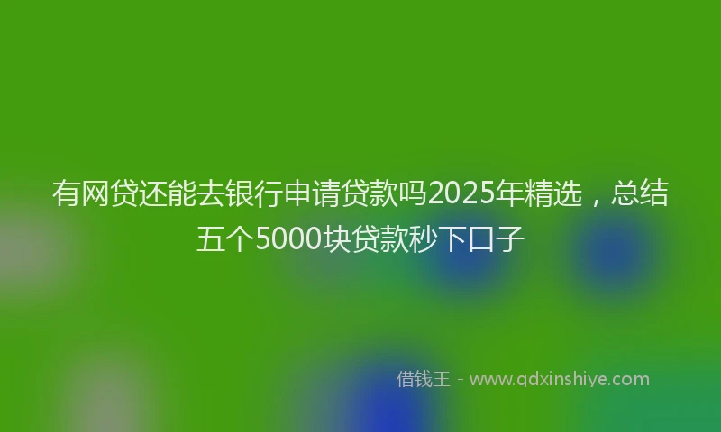 有网贷还能去银行申请贷款吗2025年精选，总结五个5000块贷款秒下口子