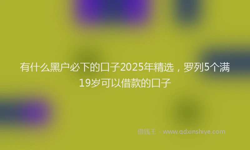 有什么黑户必下的口子2025年精选，罗列5个满19岁可以借款的口子