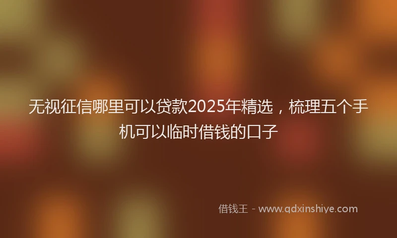 无视征信哪里可以贷款2025年精选，梳理五个手机可以临时借钱的口子