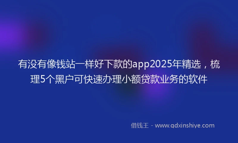 有没有像钱站一样好下款的app2025年精选，梳理5个黑户可快速办理小额贷款业务的软件