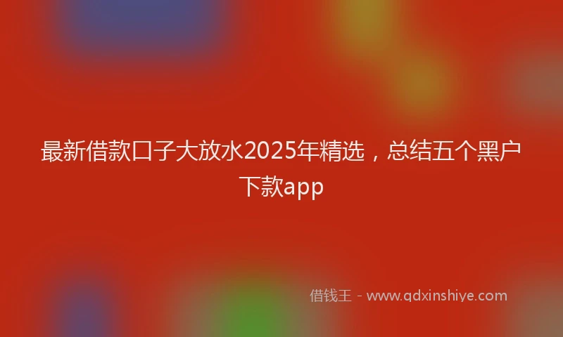 最新借款口子大放水2025年精选，总结五个黑户下款app