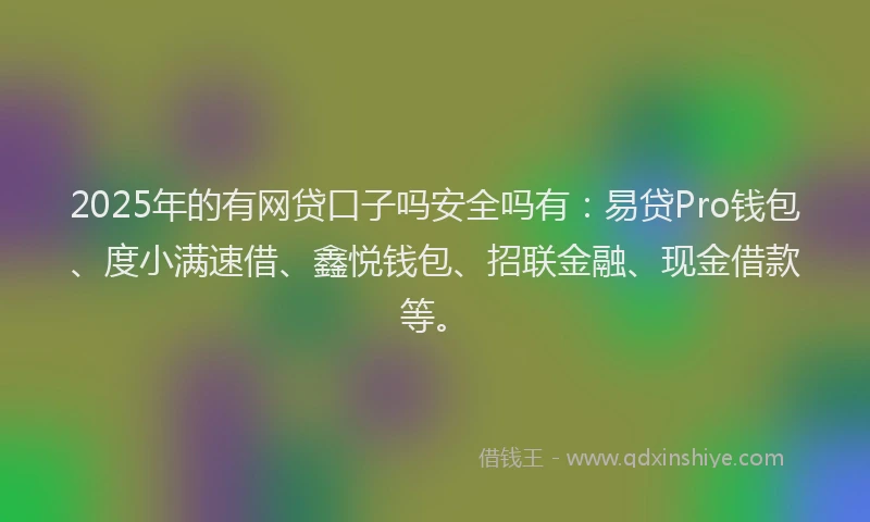 2025年的有网贷口子吗安全吗有：易贷Pro钱包、度小满速借、鑫悦钱包、招联金融、现金借款等。