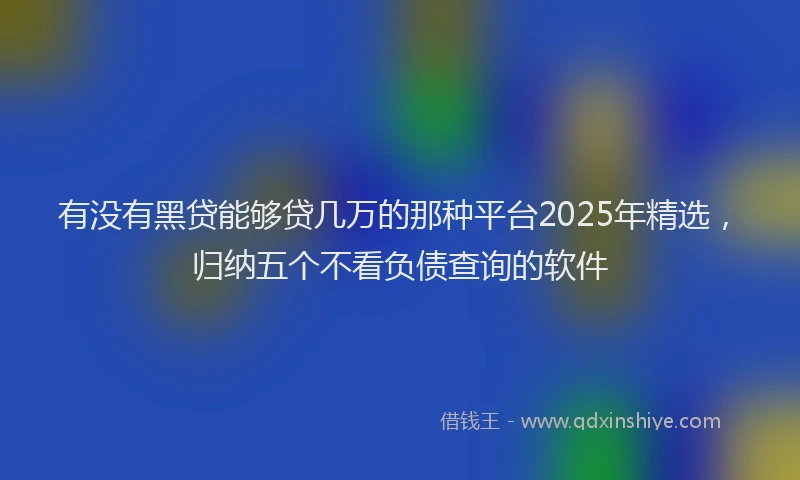 有没有黑贷能够贷几万的那种平台2025年精选，归纳五个不看负债查询的软件