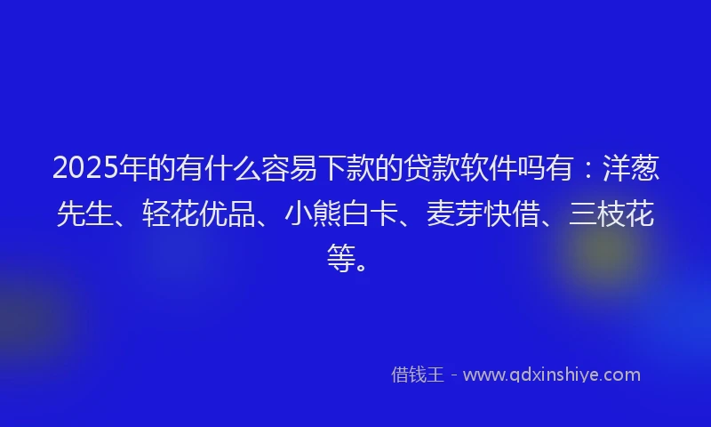 2025年的有什么容易下款的贷款软件吗有：洋葱先生、轻花优品、小熊白卡、麦芽快借、三枝花等。