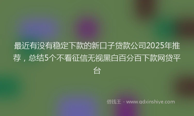 最近有没有稳定下款的新口子贷款公司2025年推荐，总结5个不看征信无视黑白百分百下款网贷平台