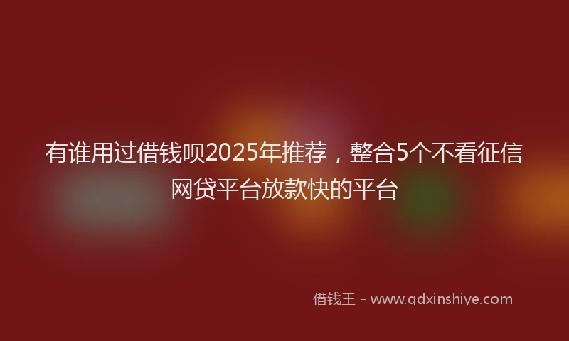 有谁用过借钱呗2025年推荐，整合5个不看征信网贷平台放款快的平台