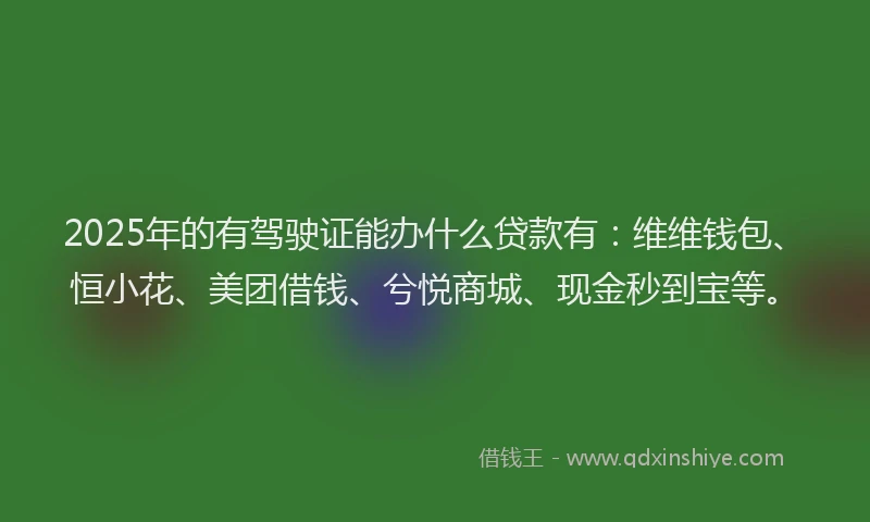 2025年的有驾驶证能办什么贷款有：维维钱包、恒小花、美团借钱、兮悦商城、现金秒到宝等。