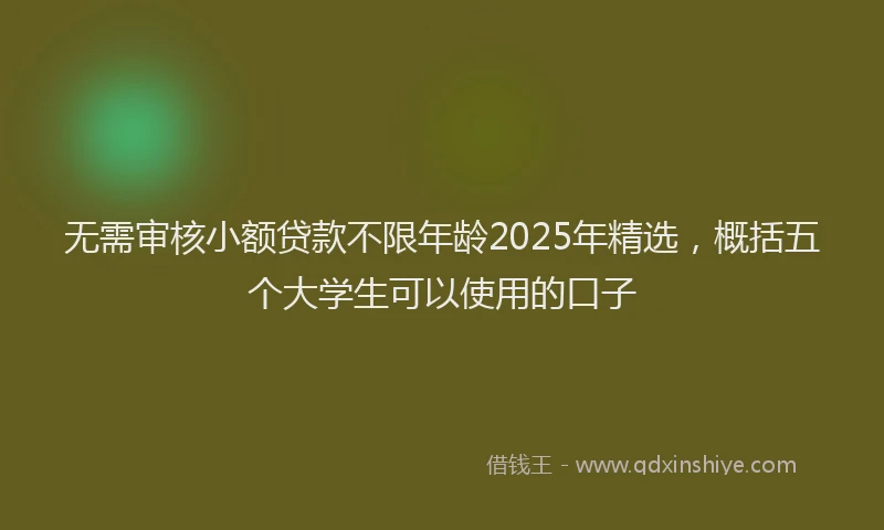 无需审核小额贷款不限年龄2025年精选，概括五个大学生可以使用的口子