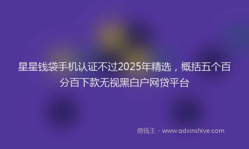星星钱袋手机认证不过2025年精选，概括五个百分百下款无视黑白户网贷平台