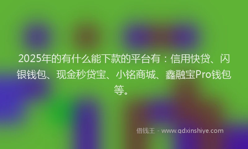 2025年的有什么能下款的平台有：信用快贷、闪银钱包、现金秒贷宝、小铭商城、鑫融宝Pro钱包等。