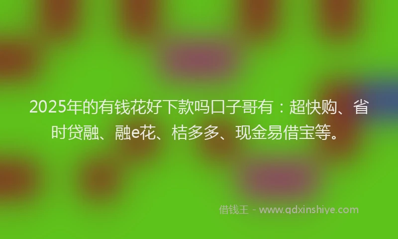 2025年的有钱花好下款吗口子哥有：超快购、省时贷融、融e花、桔多多、现金易借宝等。