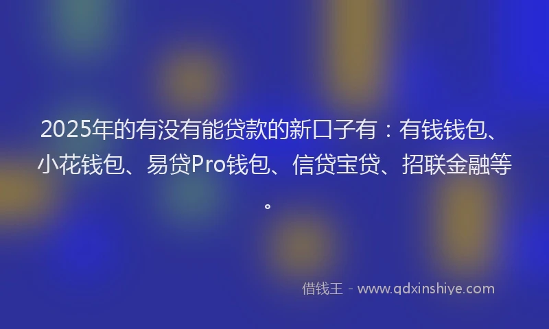 2025年的有没有能贷款的新口子有：有钱钱包、小花钱包、易贷Pro钱包、信贷宝贷、招联金融等。