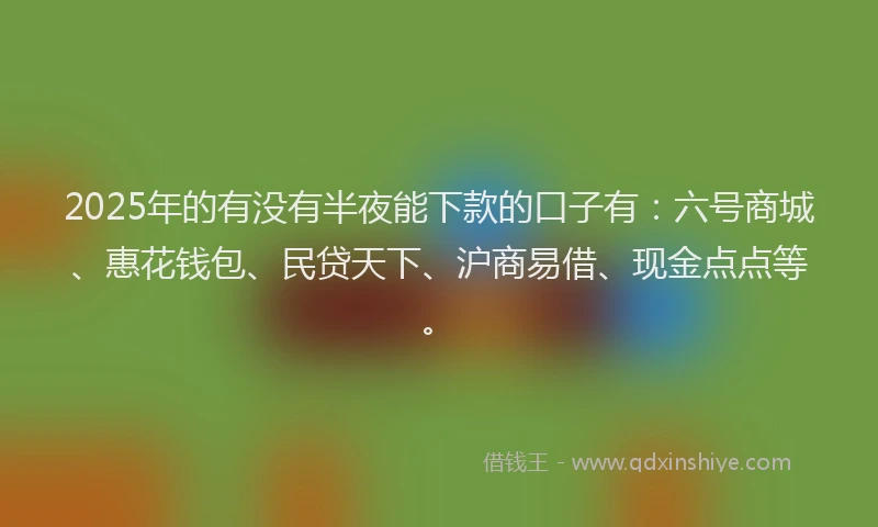 2025年的有没有半夜能下款的口子有：六号商城、惠花钱包、民贷天下、沪商易借、现金点点等。
