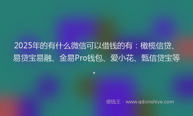 2025年的有什么微信可以借钱的有：橄榄信贷、易贷宝易融、金易Pro钱包、爱小花、甄信贷宝等。