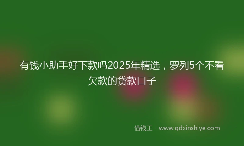 有钱小助手好下款吗2025年精选，罗列5个不看欠款的贷款口子