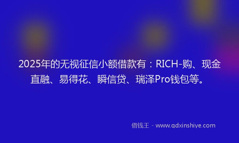 2025年的无视征信小额借款有：RICH-购、现金直融、易得花、瞬信贷、瑞泽Pro钱包等。