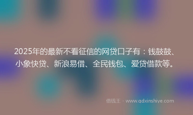 2025年的最新不看征信的网贷口子有：钱鼓鼓、小象快贷、新浪易借、全民钱包、爱贷借款等。