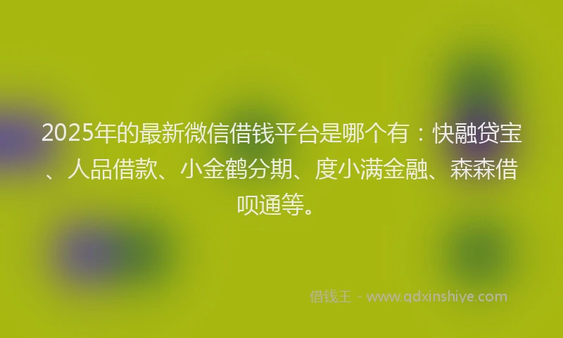 2025年的最新微信借钱平台是哪个有：快融贷宝、人品借款、小金鹤分期、度小满金融、森森借呗通等。