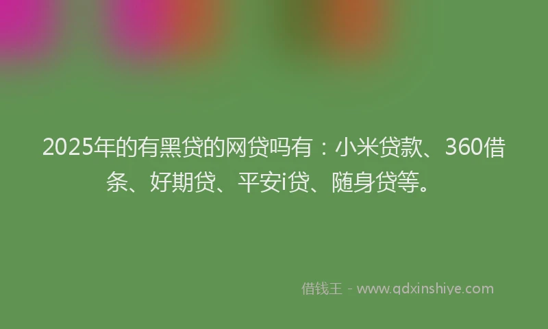 2025年的有黑贷的网贷吗有：小米贷款、360借条、好期贷、平安i贷、随身贷等。