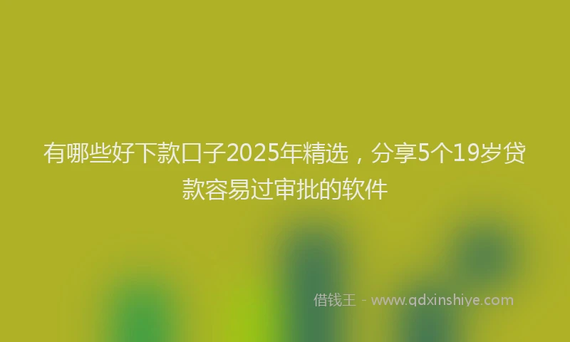 有哪些好下款口子2025年精选，分享5个19岁贷款容易过审批的软件