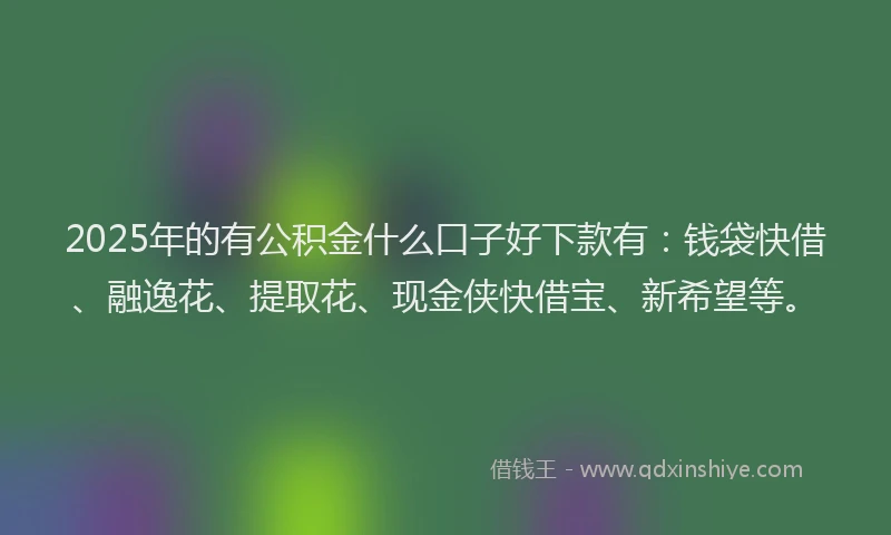 2025年的有公积金什么口子好下款有：钱袋快借、融逸花、提取花、现金侠快借宝、新希望等。