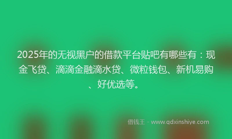 2025年的无视黑户的借款平台贴吧有哪些有：现金飞贷、滴滴金融滴水贷、微粒钱包、新机易购、好优选等。