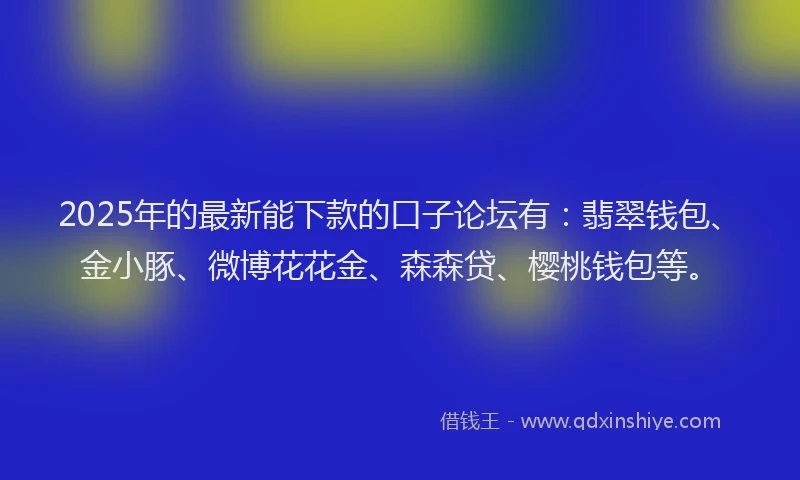 2025年的最新能下款的口子论坛有：翡翠钱包、金小豚、微博花花金、森森贷、樱桃钱包等。