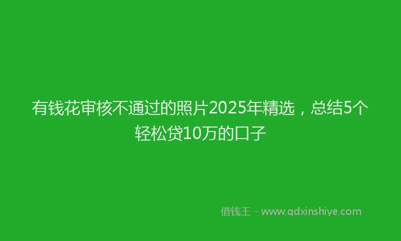 有钱花审核不通过的照片2025年精选，总结5个轻松贷10万的口子