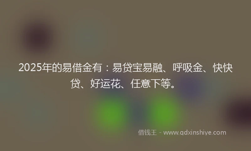 2025年的易借金有：易贷宝易融、呼吸金、快快贷、好运花、任意下等。