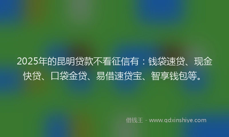 2025年的昆明贷款不看征信有：钱袋速贷、现金快贷、口袋金贷、易借速贷宝、智享钱包等。