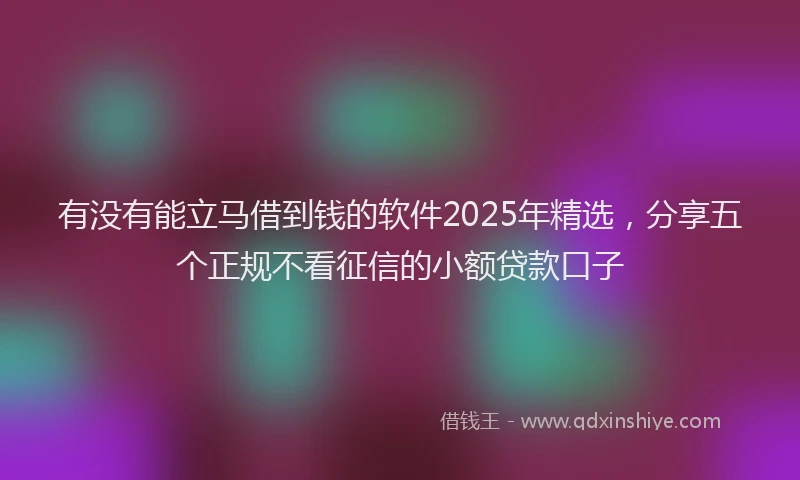 有没有能立马借到钱的软件2025年精选，分享五个正规不看征信的小额贷款口子