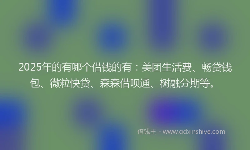 2025年的有哪个借钱的有：美团生活费、畅贷钱包、微粒快贷、森森借呗通、树融分期等。