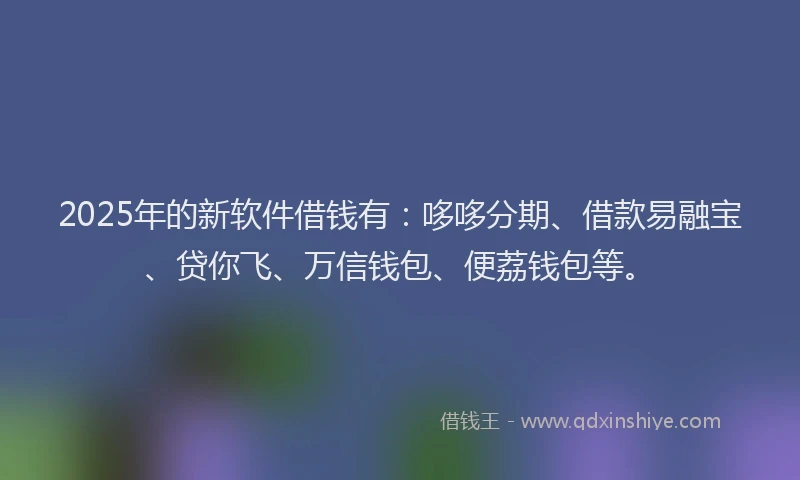 2025年的新软件借钱有：哆哆分期、借款易融宝、贷你飞、万信钱包、便荔钱包等。