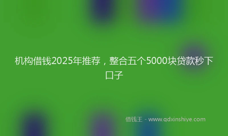 机构借钱2025年推荐，整合五个5000块贷款秒下口子