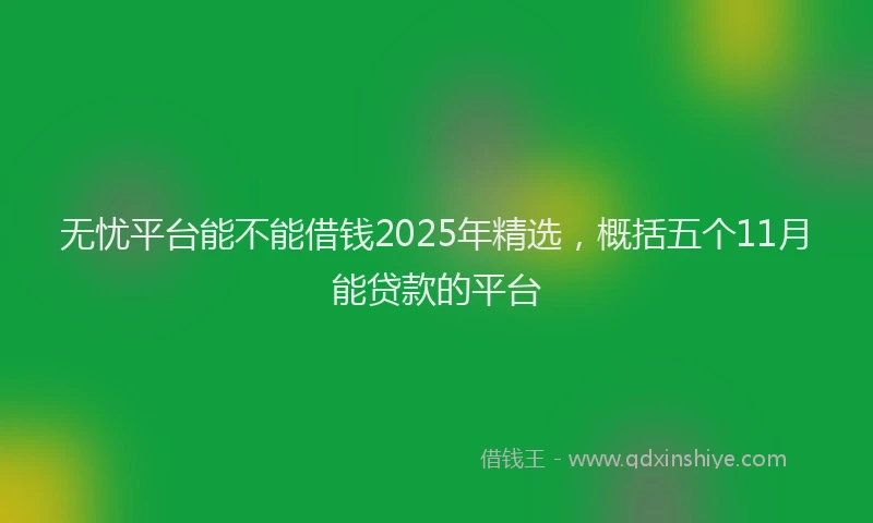 无忧平台能不能借钱2025年精选，概括五个11月能贷款的平台