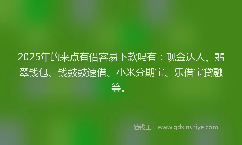 2025年的来点有借容易下款吗有：现金达人、翡翠钱包、钱鼓鼓速借、小米分期宝、乐借宝贷融等。