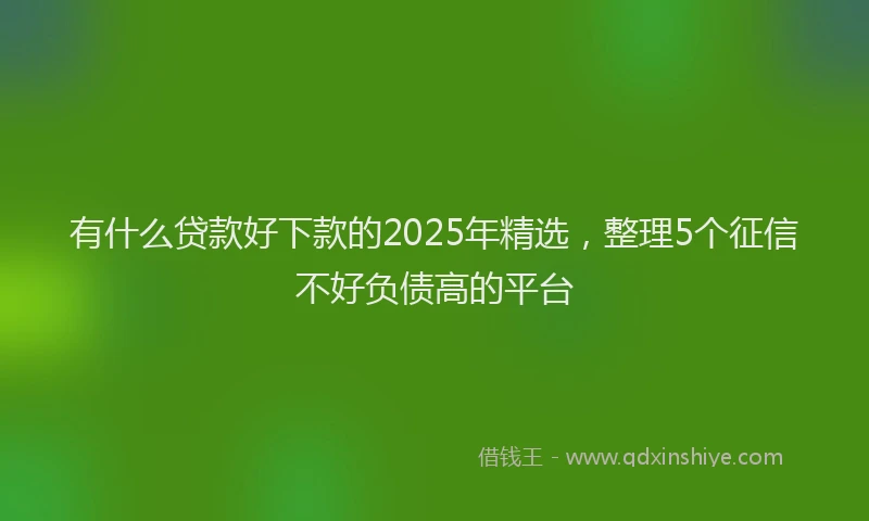 有什么贷款好下款的2025年精选，整理5个征信不好负债高的平台