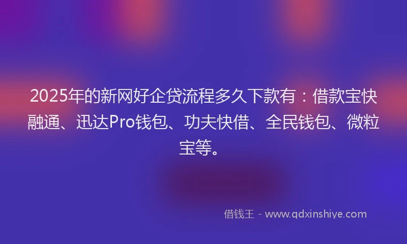 2025年的新网好企贷流程多久下款有：借款宝快融通、迅达Pro钱包、功夫快借、全民钱包、微粒宝等。