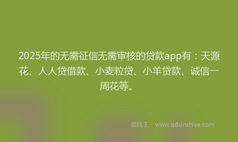 2025年的无需征信无需审核的贷款app有：天源花、人人贷借款、小麦粒贷、小羊贷款、诚信一周花等。