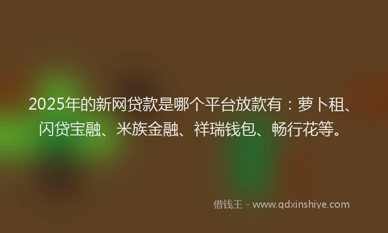 2025年的新网贷款是哪个平台放款有：萝卜租、闪贷宝融、米族金融、祥瑞钱包、畅行花等。
