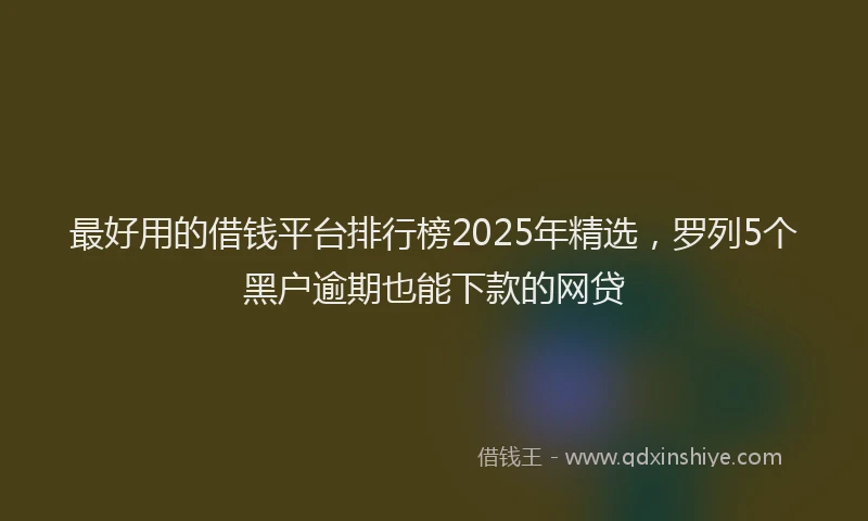 最好用的借钱平台排行榜2025年精选，罗列5个黑户逾期也能下款的网贷