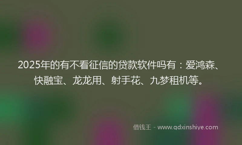 2025年的有不看征信的贷款软件吗有：爱鸿森、快融宝、龙龙用、射手花、九梦租机等。