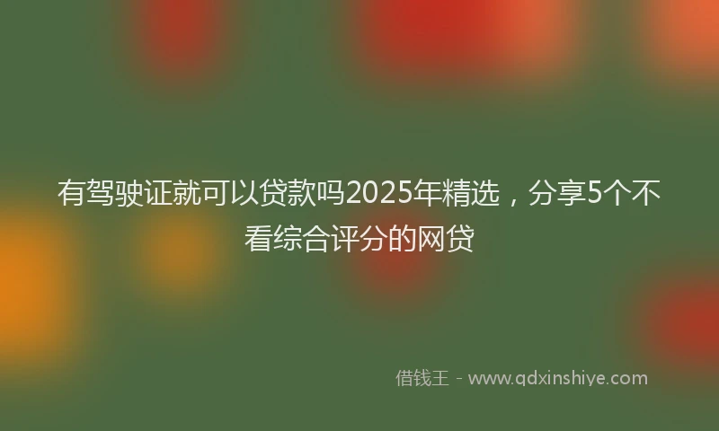 有驾驶证就可以贷款吗2025年精选，分享5个不看综合评分的网贷