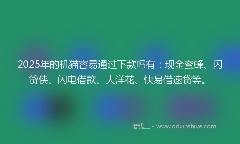 2025年的机猫容易通过下款吗有：现金蜜蜂、闪贷侠、闪电借款、大洋花、快易借速贷等。