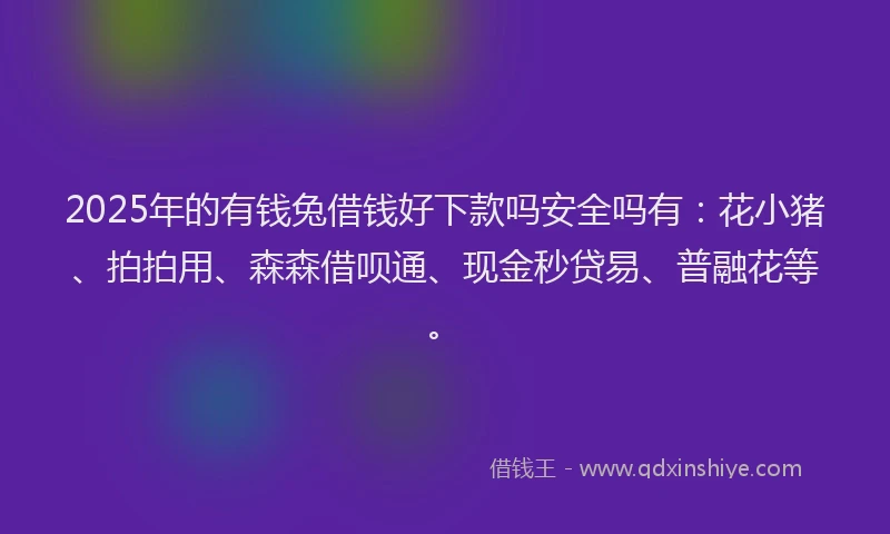 2025年的有钱兔借钱好下款吗安全吗有：花小猪、拍拍用、森森借呗通、现金秒贷易、普融花等。