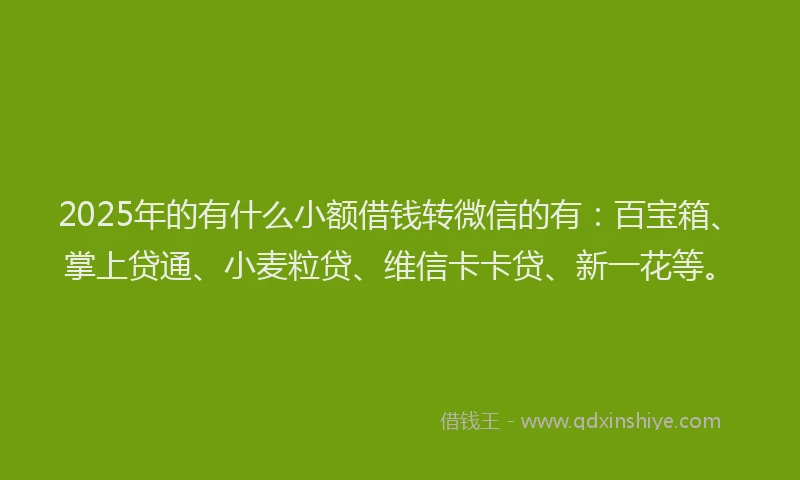 2025年的有什么小额借钱转微信的有：百宝箱、掌上贷通、小麦粒贷、维信卡卡贷、新一花等。