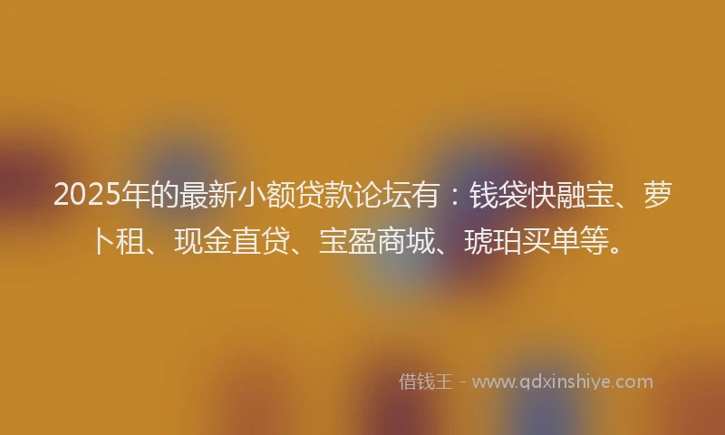 2025年的最新小额贷款论坛有：钱袋快融宝、萝卜租、现金直贷、宝盈商城、琥珀买单等。