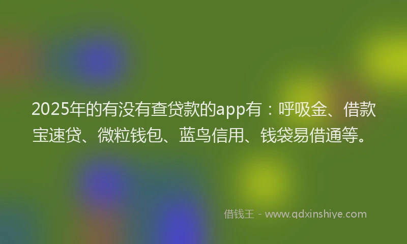 2025年的有没有查贷款的app有：呼吸金、借款宝速贷、微粒钱包、蓝鸟信用、钱袋易借通等。